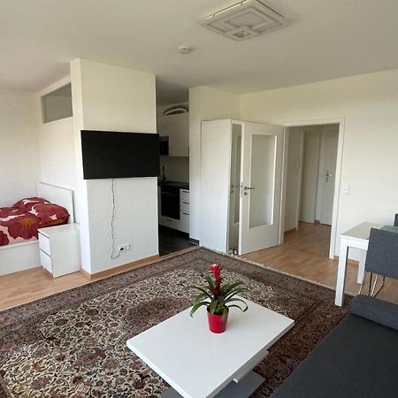 1,5 Zimmerwohnung In Χαϊδελβέργη Εξωτερικό φωτογραφία