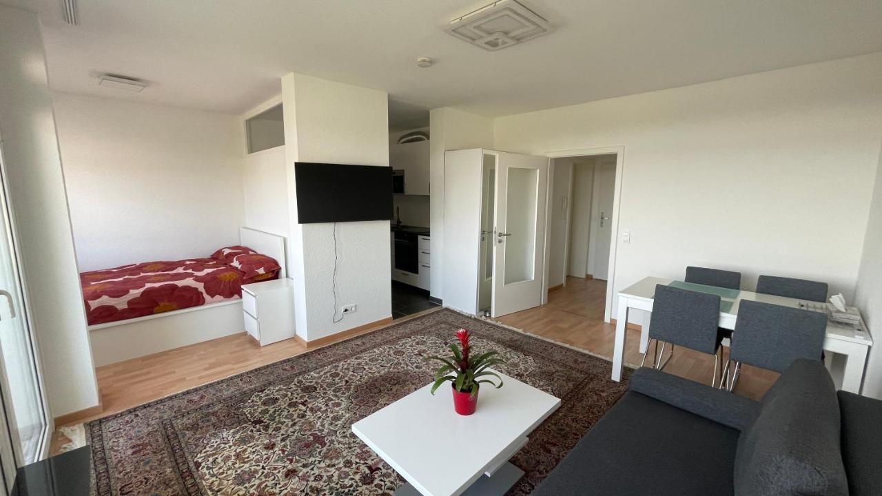 1,5 Zimmerwohnung In Χαϊδελβέργη Εξωτερικό φωτογραφία