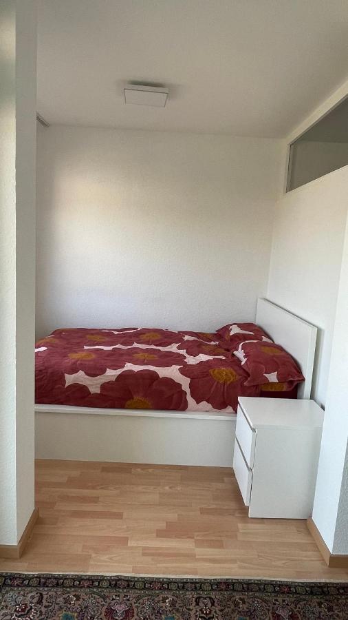 1,5 Zimmerwohnung In Χαϊδελβέργη Εξωτερικό φωτογραφία